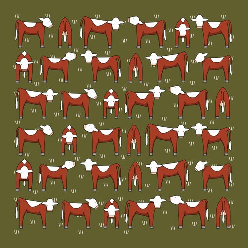 Herefords - Cotton Hanky