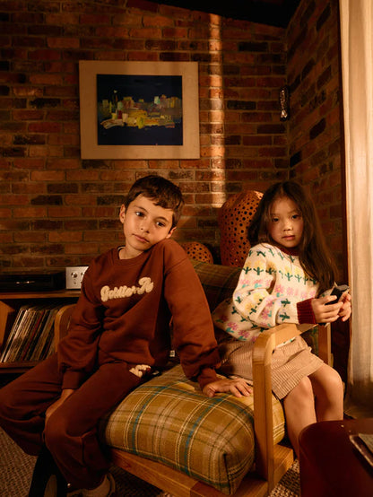 Comfy Chestnut Embroidered Sweater