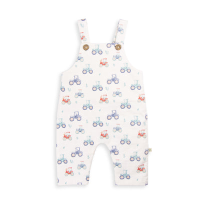 Harvest Time Overalls