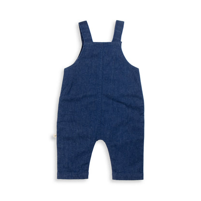 Boys Denim Overalls