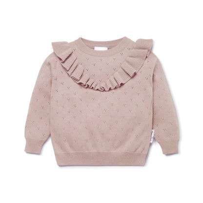 Aster & Oak Wild Rose Pointelle Ruffle Knit Jumper