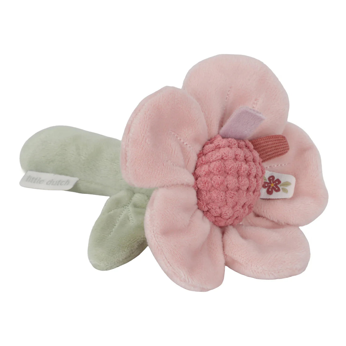 Baby's Rattle Flower