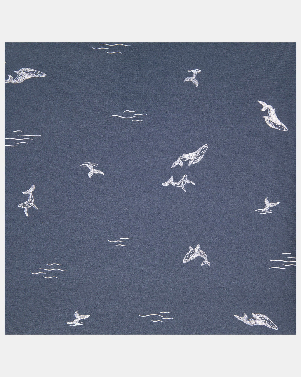 Reusable Swim Nappy Whales
