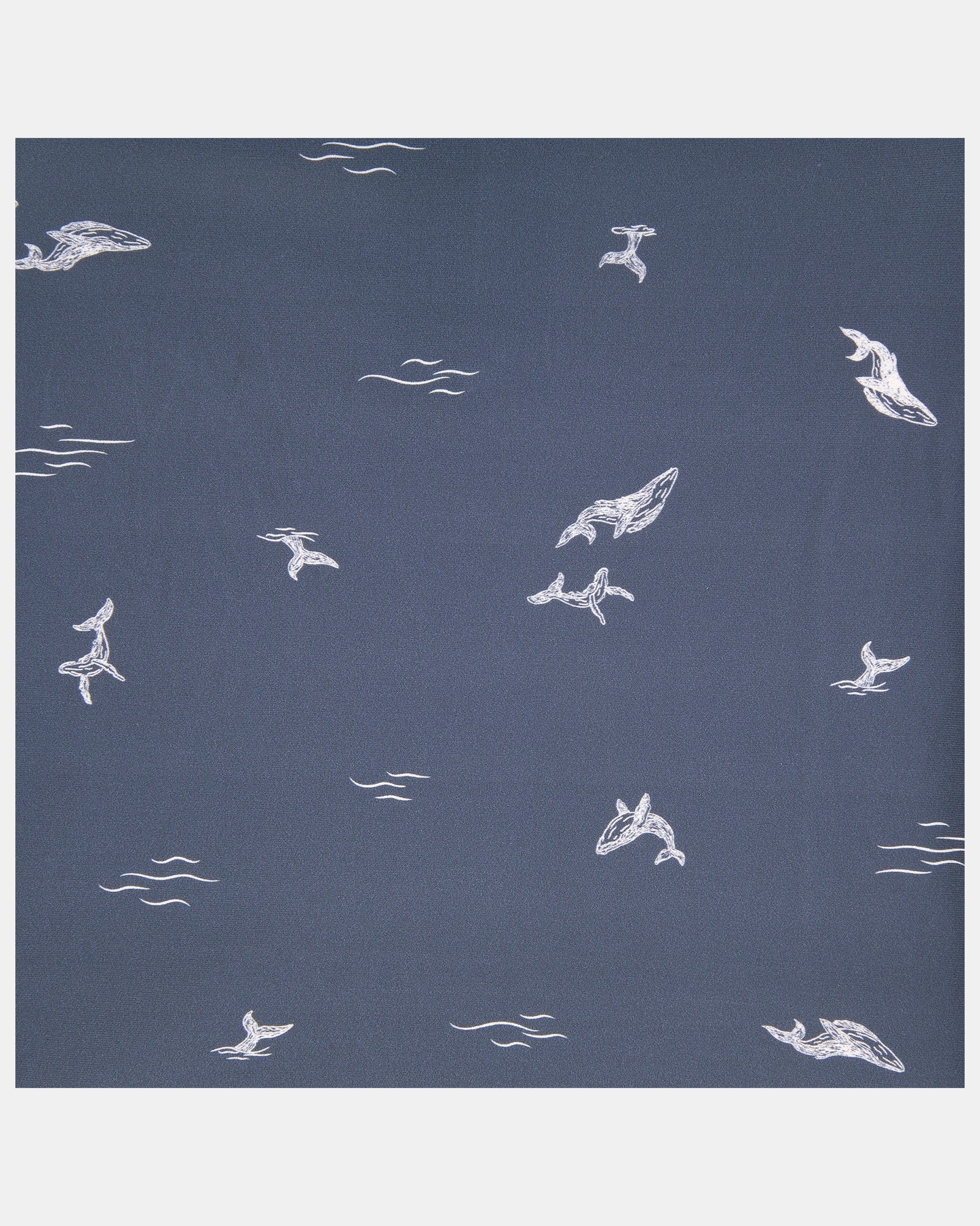 Reusable Swim Nappy Whales