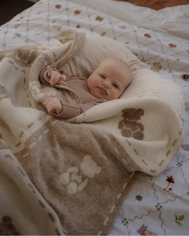 Teddy Bear Knit Blanket